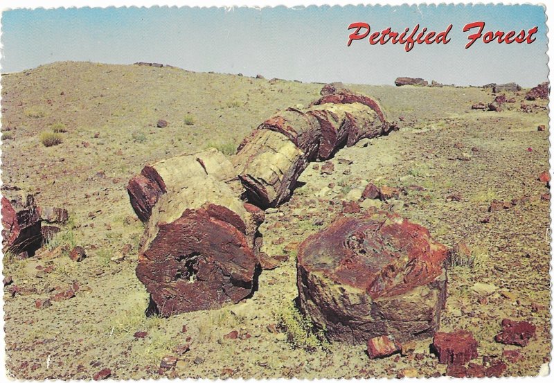 Petrified Forest Arizona Mailed 2-22-1972 6 Cent  Eisenhower Stamp