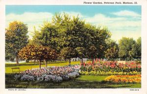 MATTOON, IL Illinois  FLOWER GARDEN~PETERSON PARK  Coles Co  c1940's Postcard