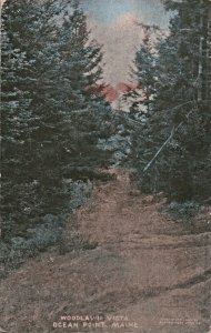 Antique Postcard 1907 Ocean Point Maine Unused Hand Colored 5.5 x 3.5 