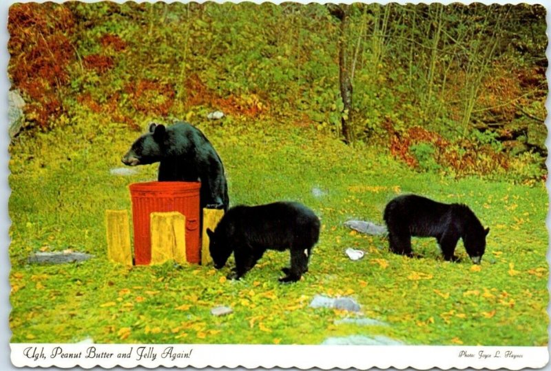 Postcard - Ugh, Peanut Butter and Jelly Again! - Black Bears