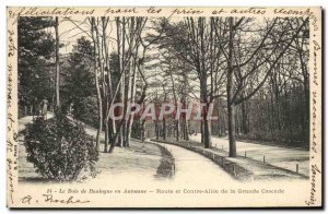 Old Postcard Paris Bois De Boulognne In autumn Road and driveway against the ...