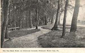 Vintage Postcard 1910's The Tan Bark Walk on Glenwood Grounds Delaware Water Gap