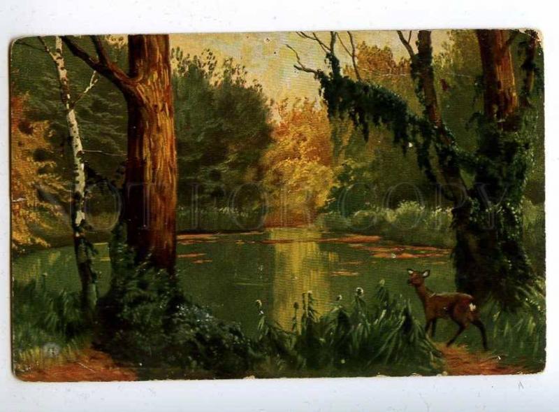 197328 Deer hunting in a summer forest Vintage postcard