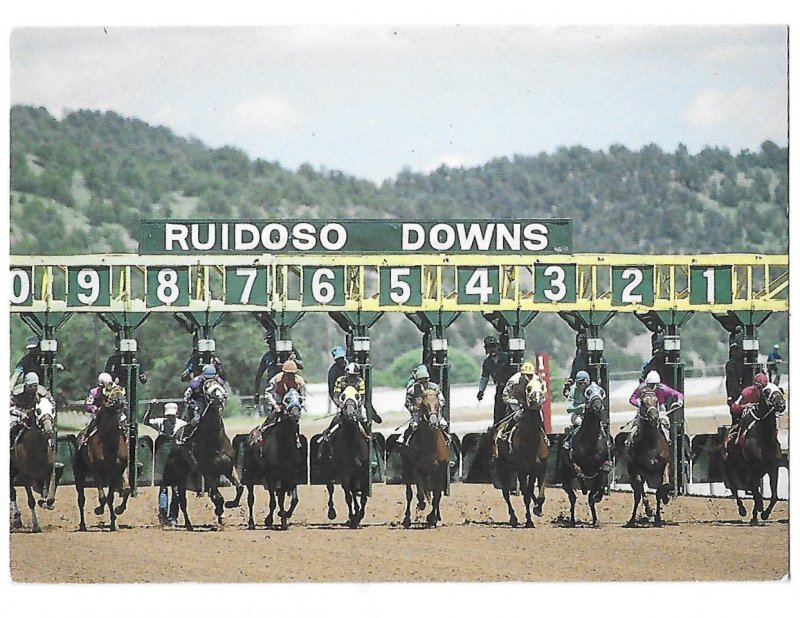 Ruidoso New Mexico Horse Racing Downs    4 by 6 card