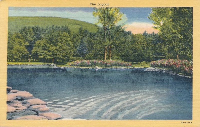 Allegany State Park NY, New York - The Lagoon - Linen