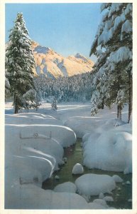 Mountaineering Austria winter scenic landscape vintage postcard