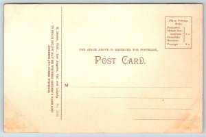 Rubio Canyon  Mt. Lowe   Pasadena  California  Postcard  c1910