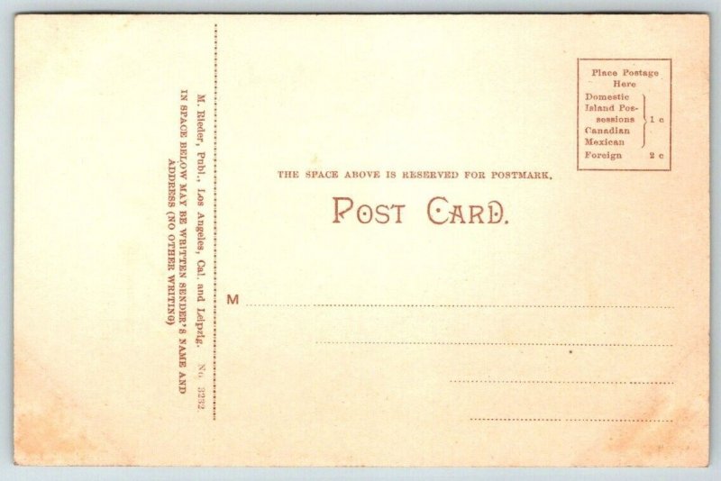 Rubio Canyon  Mt. Lowe   Pasadena  California  Postcard  c1910