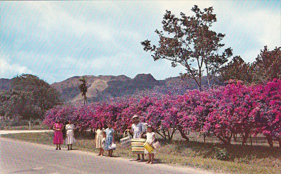 Panama El Valle De Anton The Sleeping Indian Province Of Cocle