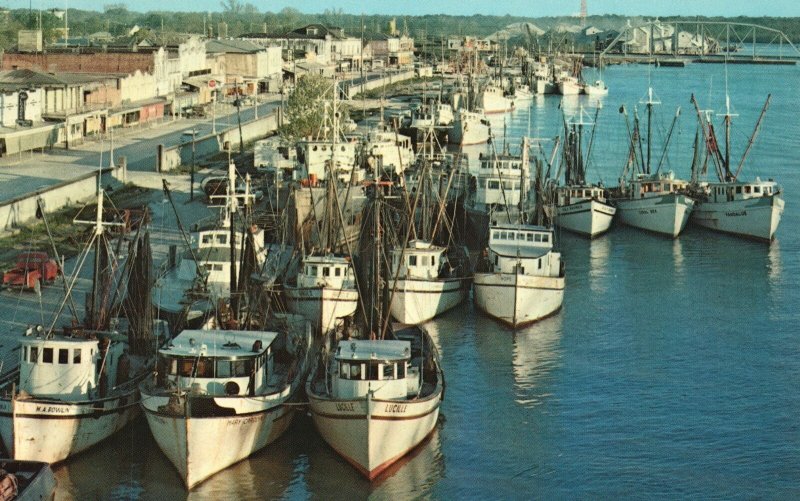 Vintage Postcard Shrimp Boats Shrimping & Fishing Major Industry In Louisiana La