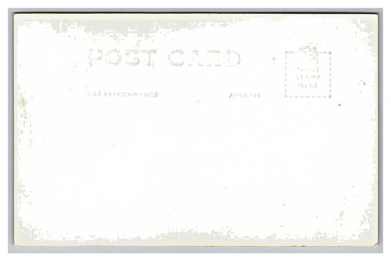 Washington Salmon RPPC Postcard Two Men Showing Off Their Catch