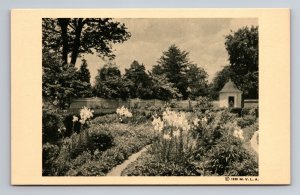 The Flower Garden At Washington's Home Mount Vernon Virginia Vintage Unposted