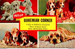 Montana Roy Bohemian Corner Cafe & Service Station Canine Cuties