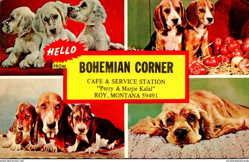 Montana Roy Bohemian Corner Cafe & Service Station Canine Cuties