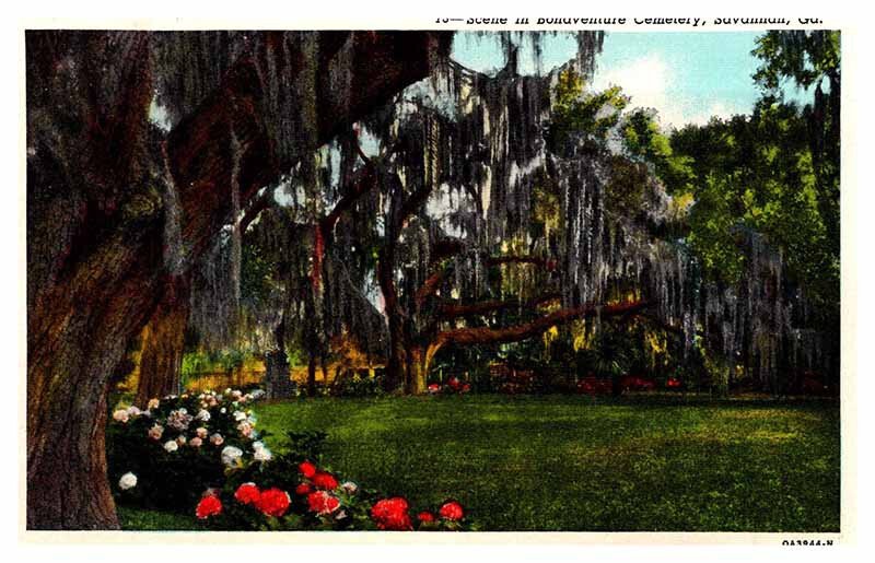 Postcard CEMETERY SCENE Savannah Georgia GA AS6288