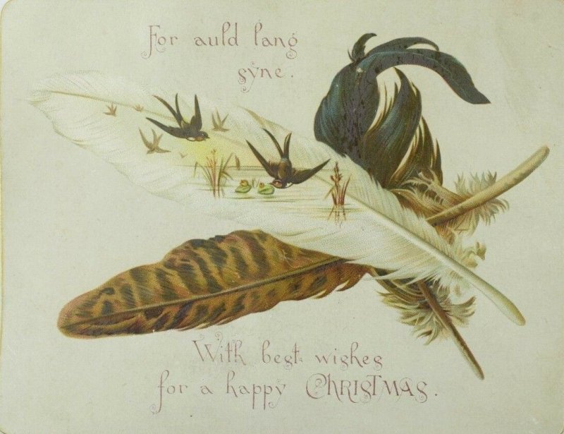 1880's Lovely Bird's Feathers J.F. Schipper & Co. Christmas Victorian Card &S