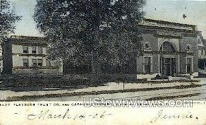 Flatbush Trust Co., Carnegie Library in Brooklyn, New York