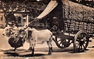 Double Bullock Cart Colombo Ceylon, Ceylan Writing on back 