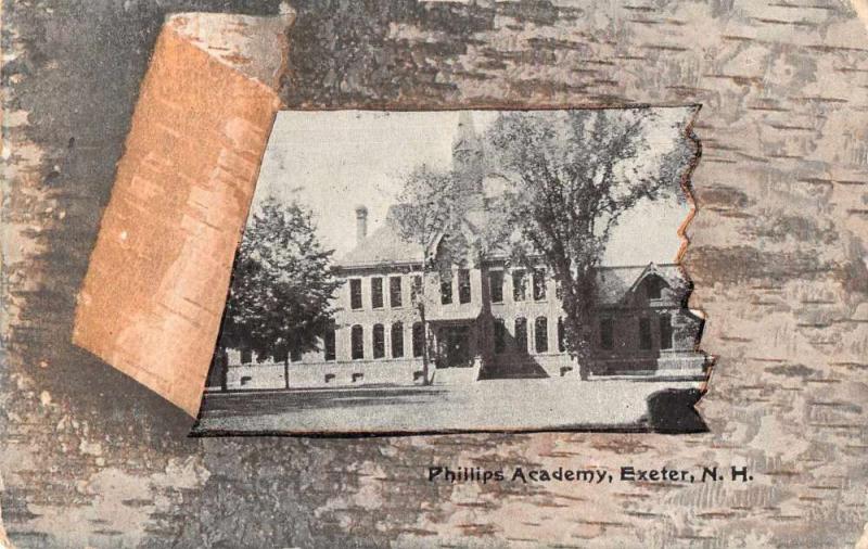 Exeter New Hampshire Philips Academy Tree Bark Border Vintage Postcard JA454767