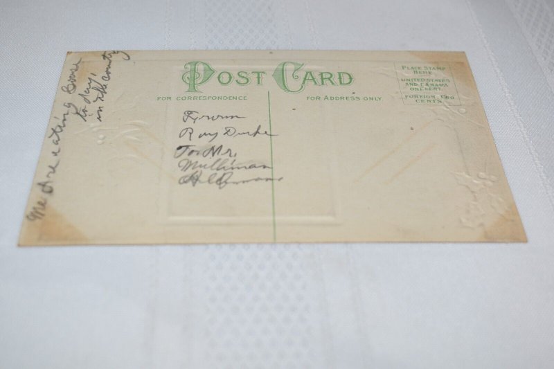 Winter Scene Holly Happy New Year Embossed Postcard