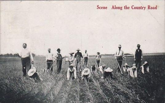 Farming Scene Along The Country Road 1913