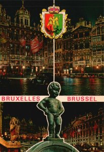 Vintage Postcard Souvenir from Brussels Historical Monument Buildings Belgium