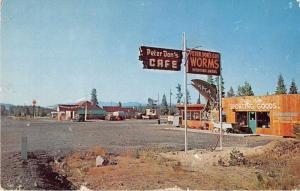 Cascade Mts Oregon Peter Dons Cafe and Sporting Goods Vintage Postcard J54930