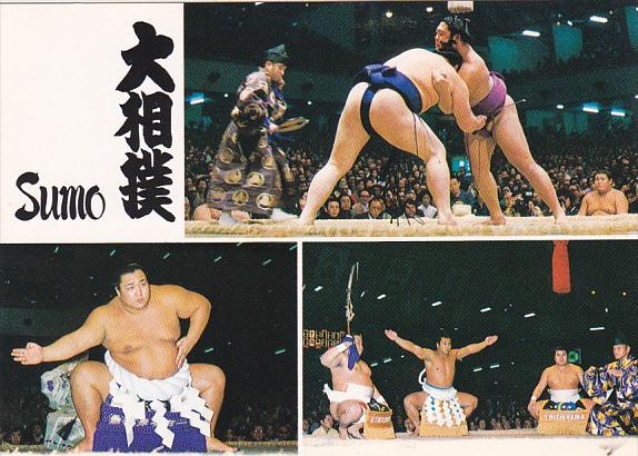 Japanese Sumo Wrestling Multi View Champion Yokozuna-no-Dohyoiri