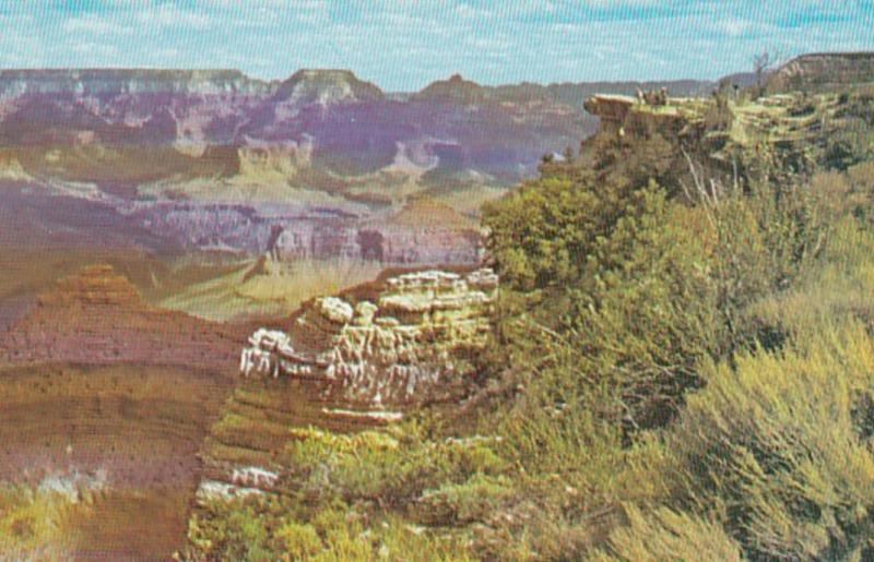 Arizona Grand Canyon At Mather Point