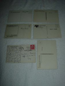 Clearwater FL - Lot Of 6 Great Vintage Postcards - x0571