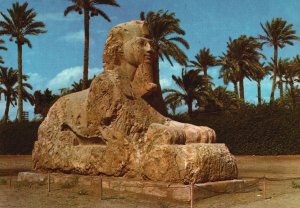 Vintage Postcard Ancient Archaeology Mount Giza The Sphinx Of Sakkara Giza Egypt