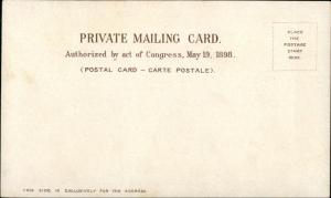 Chicago IL Multi-View c1900 Private Mailing Card #4 EXC COND