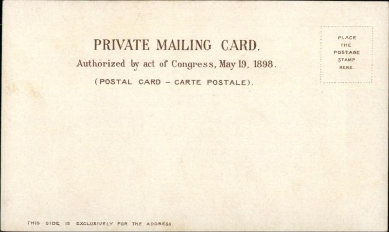 Chicago IL Multi-View c1900 Private Mailing Card #4 EXC COND