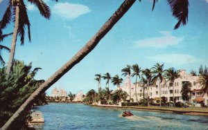 Vintage Postcard Indian Creek Coconut Palm Trees Miami Beach Florida Valence Pub