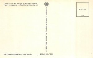 2~Postcards  North Conway, NH New Hampshire NEW EASTERN SLOPE INN  Summer~Winter