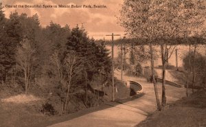 Vintage Postcard One Of The Beautiful Spots Of Mt. Baker Park Seattle Washington