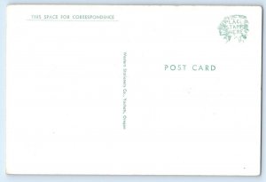 c1930's Comic Humor Drunk Men Anthropomorphic Deer Driving Car Vintage Postcard