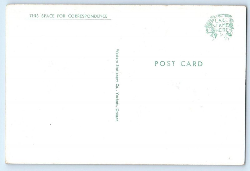 c1930's Comic Humor Drunk Men Anthropomorphic Deer Driving Car Vintage Postcard