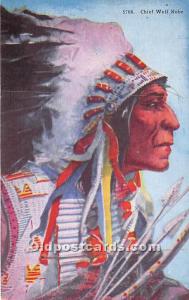 Chief Wolf Robe Indian Postcard