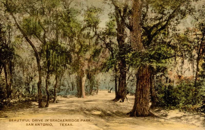 TX - San Antonio. Brackenridge Park Scene