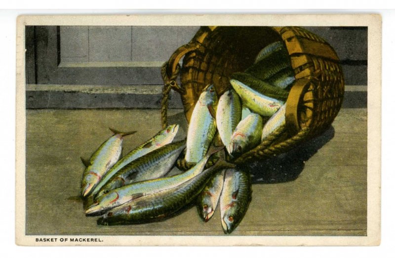 Fishing - Basket of Mackerel