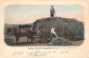 Making Hay Youngsville NY 1906