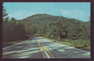 View Within Mt Mitchell State Park NC Postcard 3887