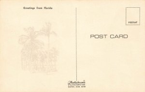 Bettie Paige Watch Out For The Alligator!!, Postcard