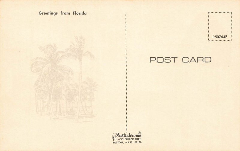 Bettie Paige Watch Out For The Alligator!!, Postcard