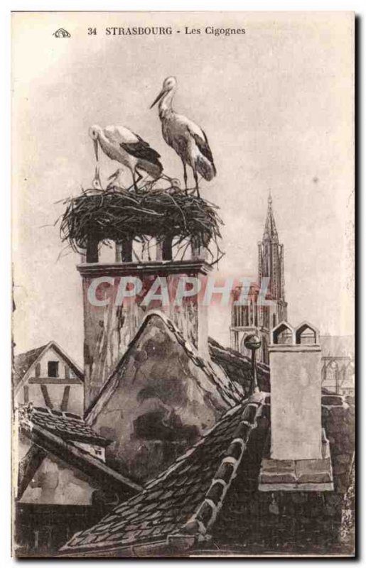 Strasbourg - Strassburg - The Storks - Old Postcard