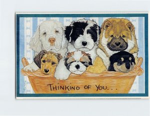 Postcard Thinking Of You. . . North Shore Animal League Port Washington NY USA