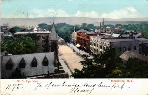 PC CPA US, NY, HERKIMER, BIRD'S EYE VIEW, VINTAGE POSTCARD (b10901)