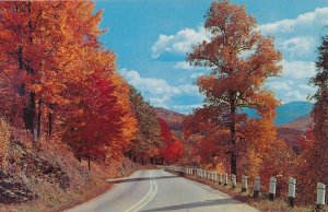 Autumn Colors along typical Winding Rural Road - Published in New York State