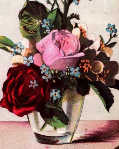 1880s Amsterdam Kaffee Co. P. Klingeloefer Flowers In Vase #5P